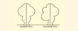 symmetrical patterns for molas